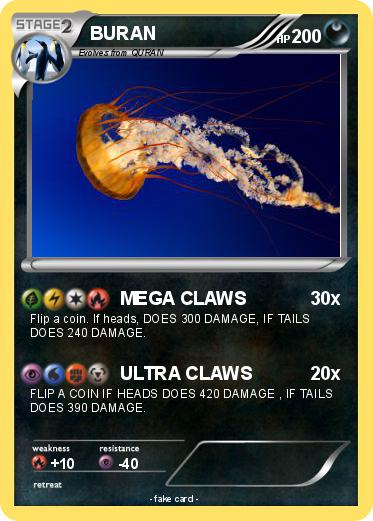 Pokemon BURAN