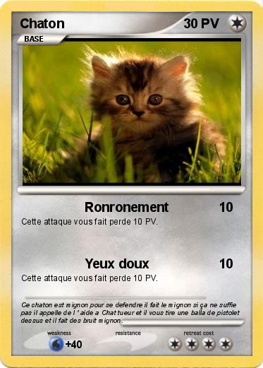 Pokemon Chaton