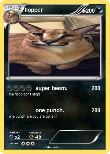 Pokemon flopper