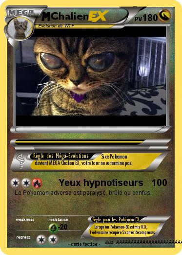 Pokemon Chalien
