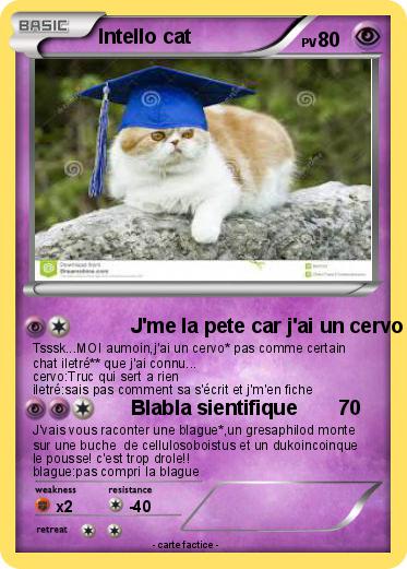 Pokemon Intello cat