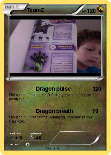 Pokemon TeamZ