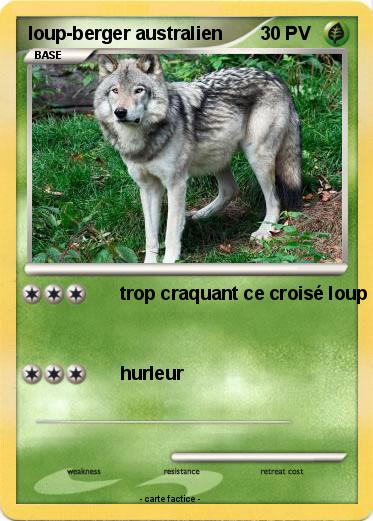 Pokemon loup-berger australien