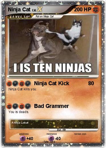 Pokemon Ninja Cat