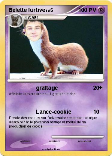 Pokemon Belette furtive