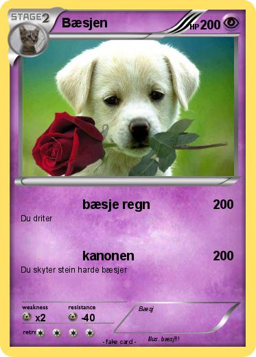 Pokemon Bæsjen