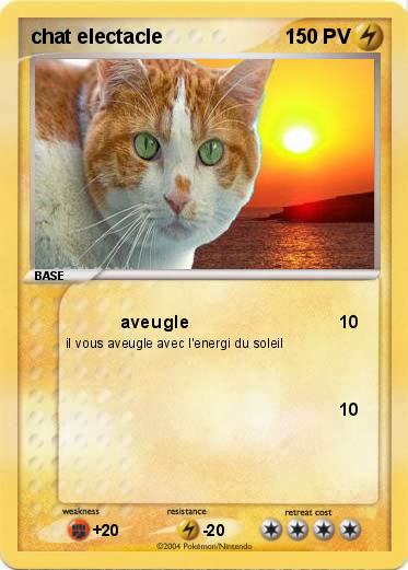 Pokemon chat electacle