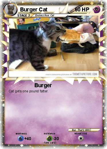 Pokemon Burger Cat