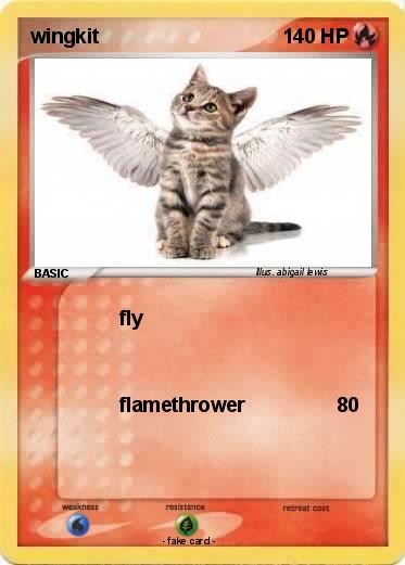 Pokemon wingkit