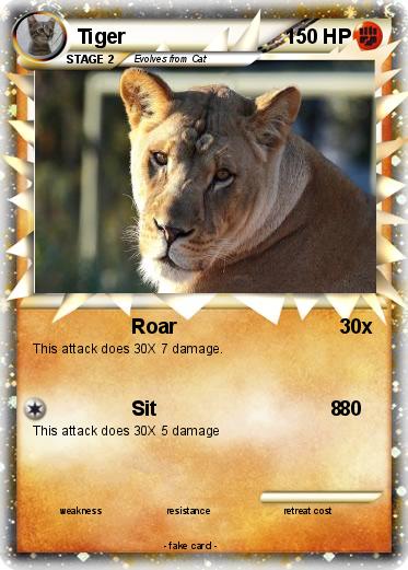 Pokemon Tiger