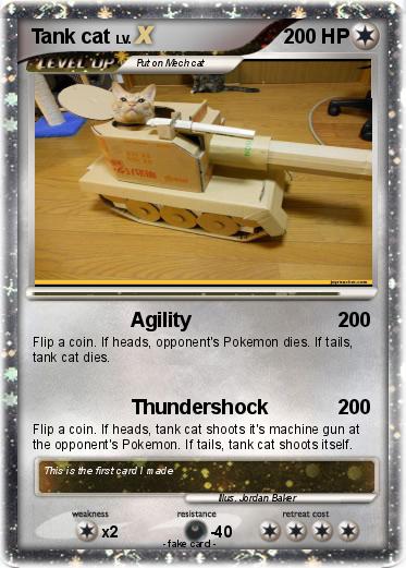 Pokemon Tank cat