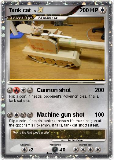 Pokemon Tank cat