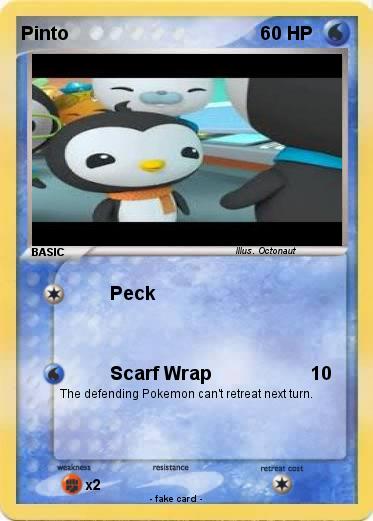 Pokemon Pinto