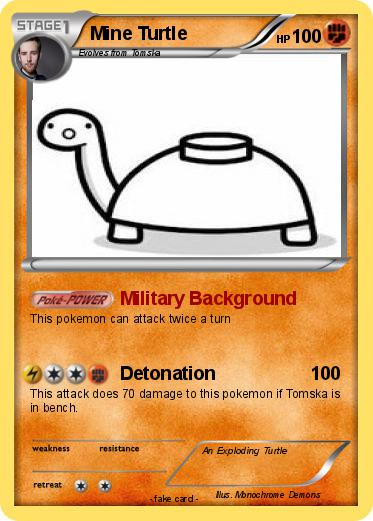 Pokemon Mine Turtle