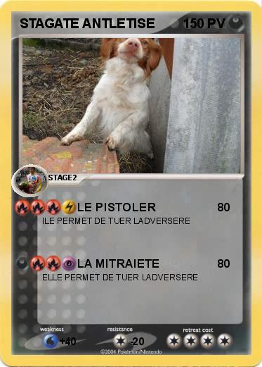 Pokemon STAGATE ANTLETISE