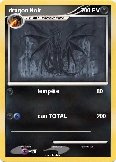 Pokemon dragon Noir