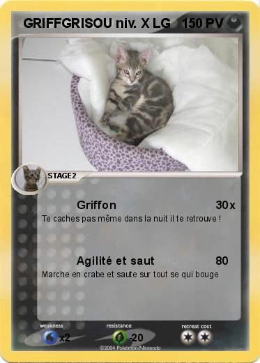 Pokemon  GRIFFGRISOU niv. X LG