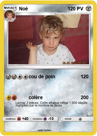 Pokemon Noé