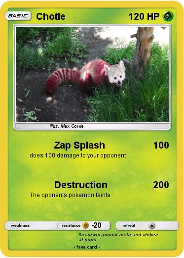 Pokemon Chotle