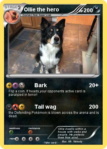 Pokemon Ollie the hero