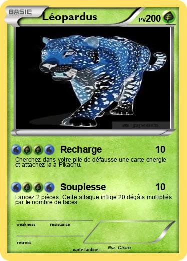 Pokemon Léopardus