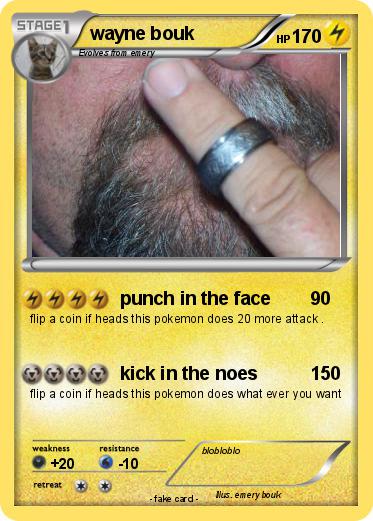 Pokemon wayne bouk