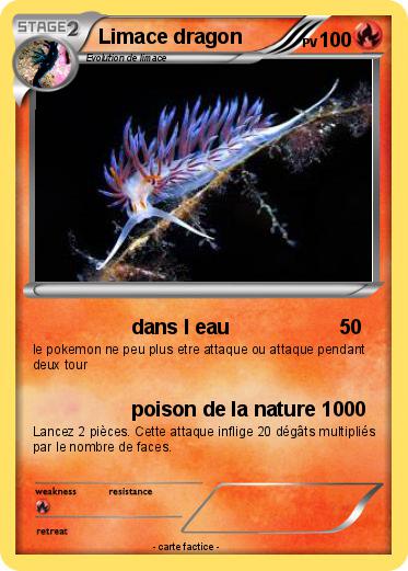 Pokemon Limace dragon
