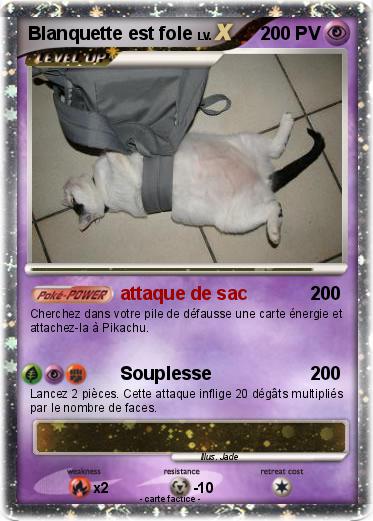 Pokemon Blanquette est fole