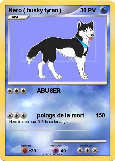 Pokemon Nero ( husky tyran )