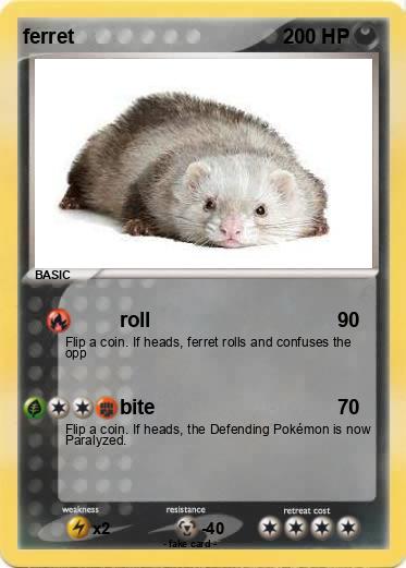 Pokemon ferret