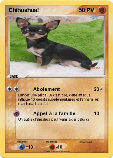 Pokemon Chihuahua!