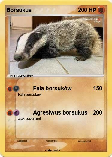 Pokemon Borsukus