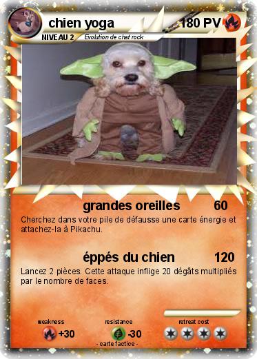 Pokemon chien yoga