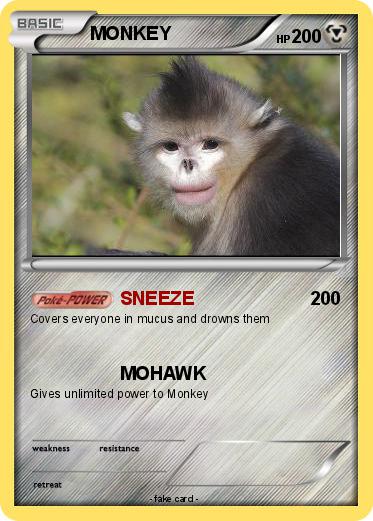 Pokemon MONKEY
