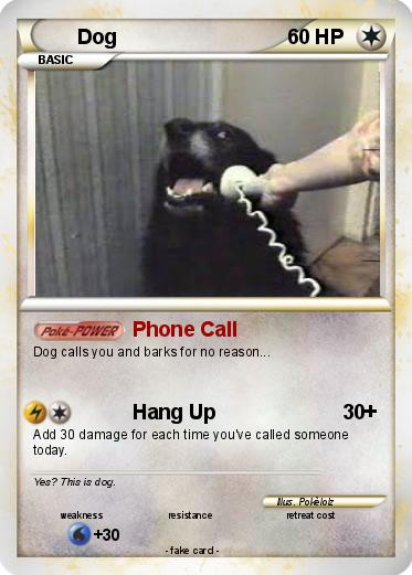 Pokemon Dog