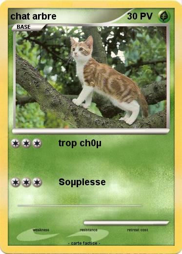 Pokemon chat arbre