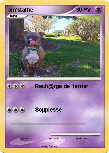 Pokemon am'staffie