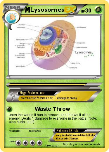 Pokemon Lysosomes