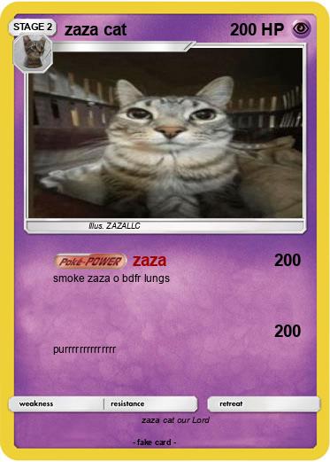 Pokemon zaza cat