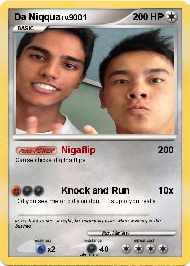 Pokemon Da Niqqua