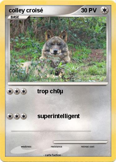 Pokemon colley croisé