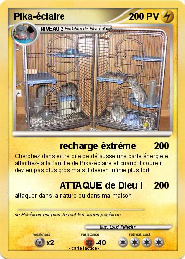Pokemon Pika-éclaire