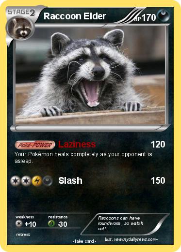 Pokemon Raccoon Elder