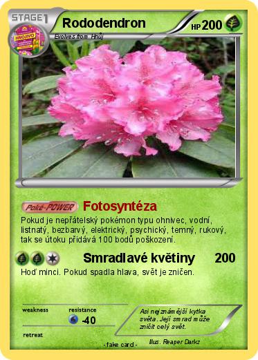Pokemon Rododendron