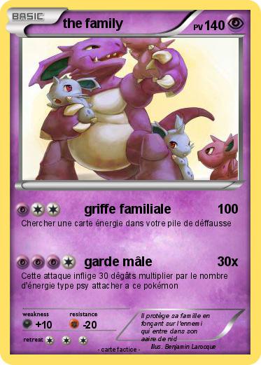 Pokemon the family