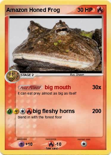 Pokemon Amazon Honed Frog