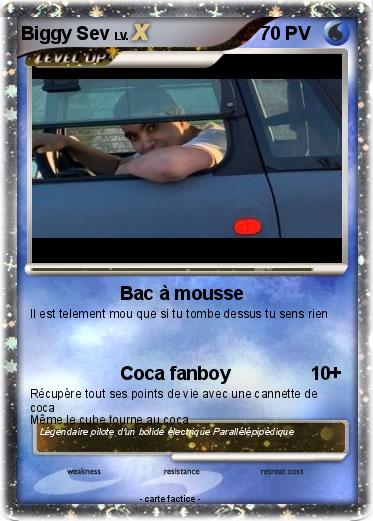 Pokemon Biggy Sev