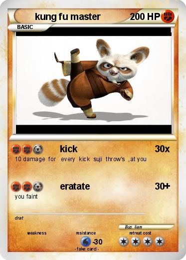 Pokemon kung fu master