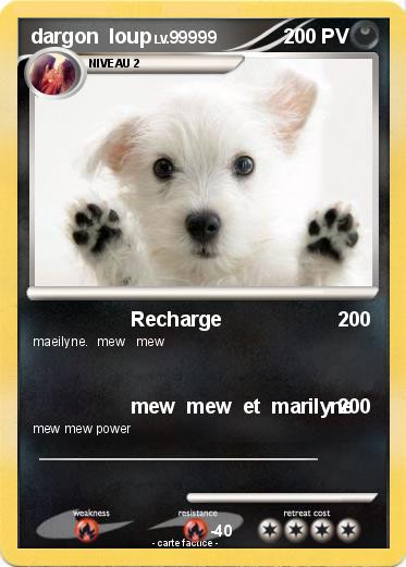 Pokemon dargon  loup