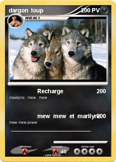 Pokemon dargon  loup